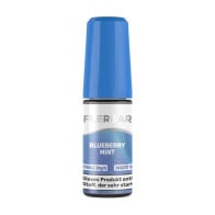 Blueberry Mint - Flerbar Nikotinsalz Liquid