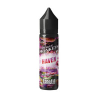 Aroma Haven - Twelve Monkeys (10/60ml)