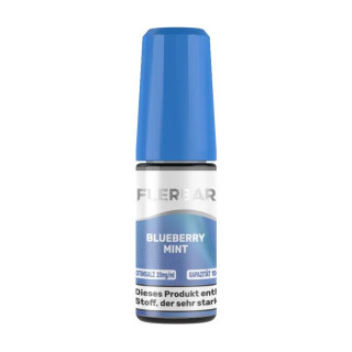 Blueberry Mint - Flerbar Nikotinsalz Liquid