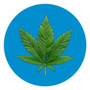Kategorie CBD Liquid