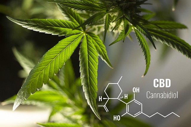 Cannabidiol Strukturformel