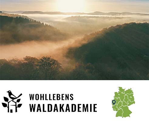 Liquido24 unterstützt Wohllebens Waldakademie